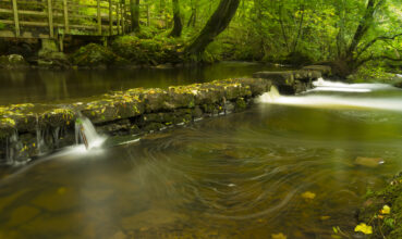 Small waterfalls, The Dingle Nature Reserve Llangefni. Long expo