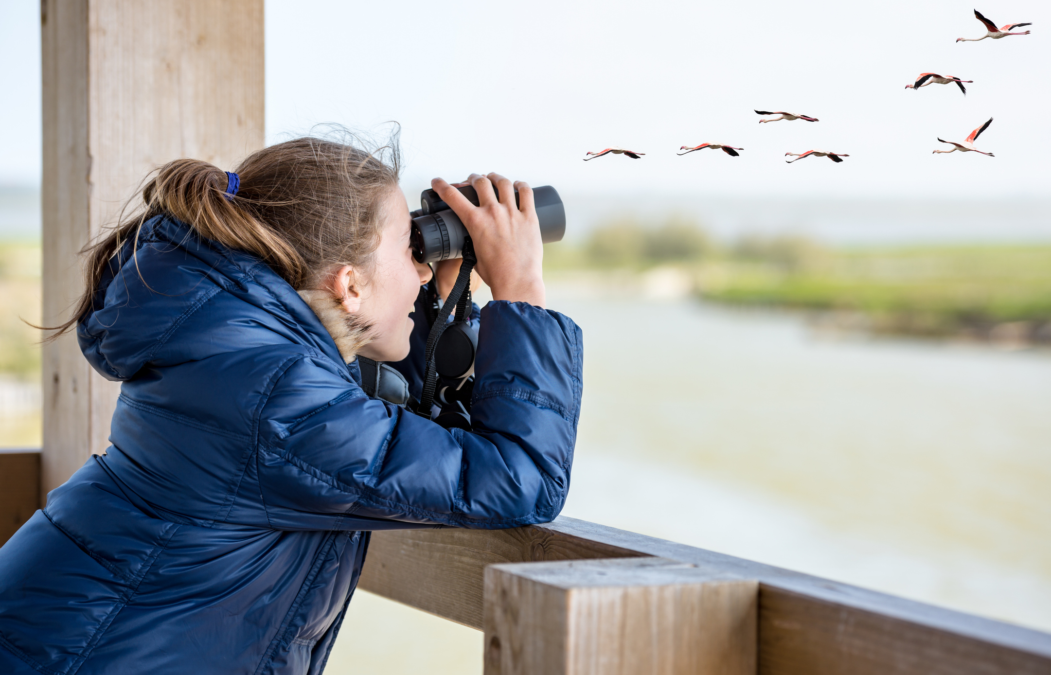 Binoculars threesome invite bird