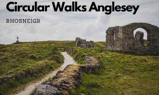 the best Circular Walks Anglesey